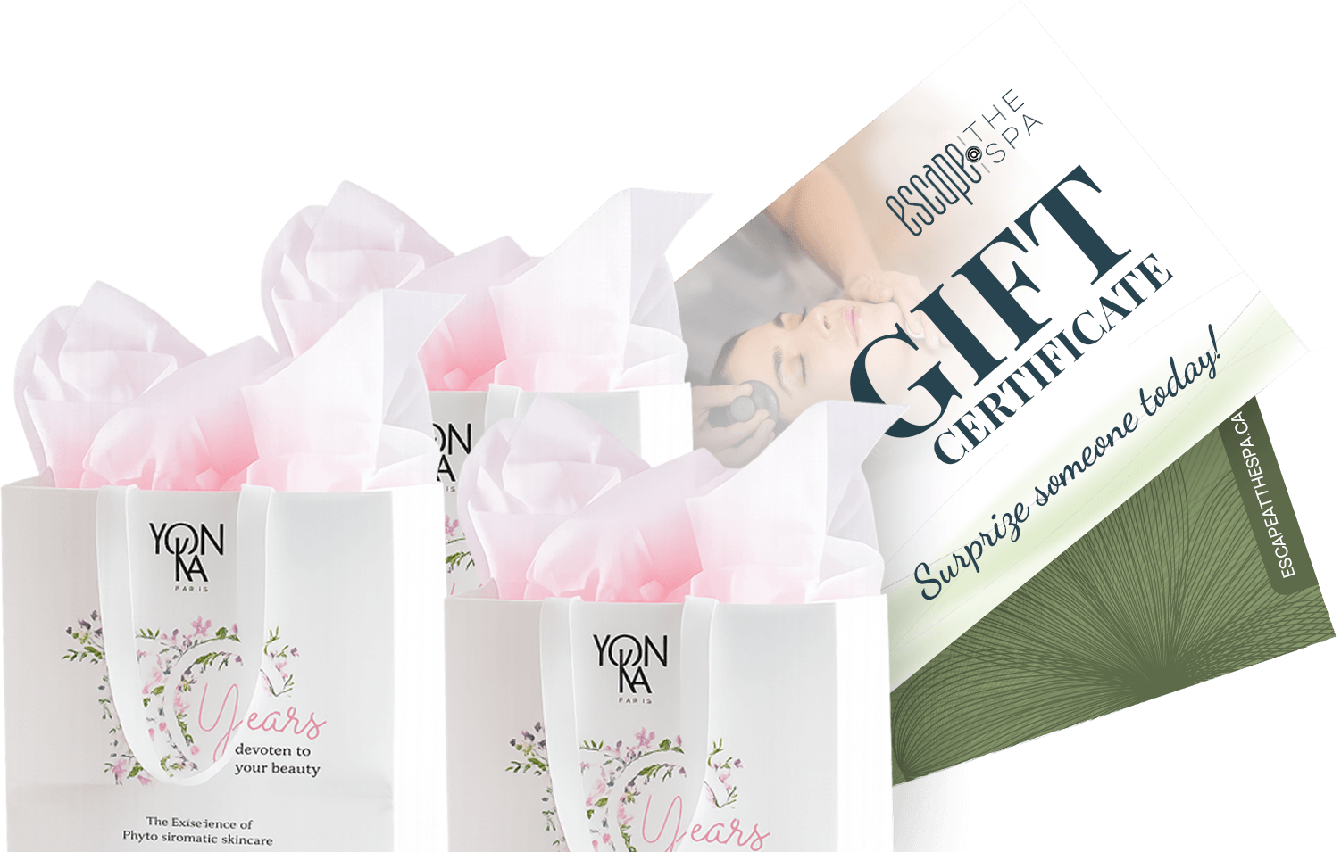 Gift Certificates in Mississauga spa